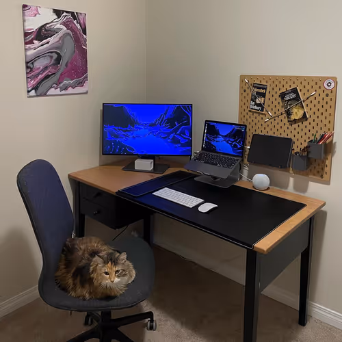 Pepper sitting in my new work from home space