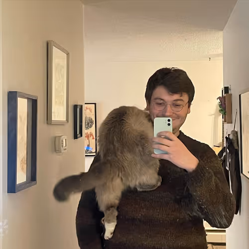 A ragdoll cat hanging over tristans shoulder