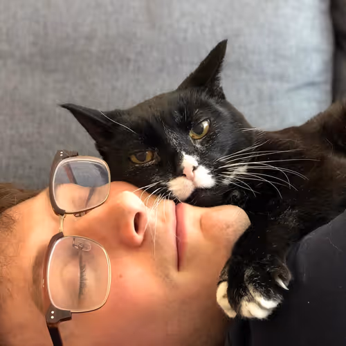 A black cat resting his head on my head